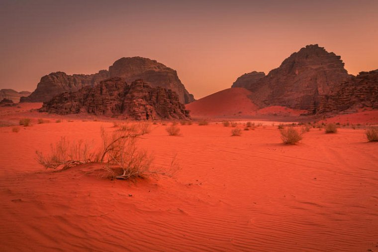 70 Wadi Rum.jpg